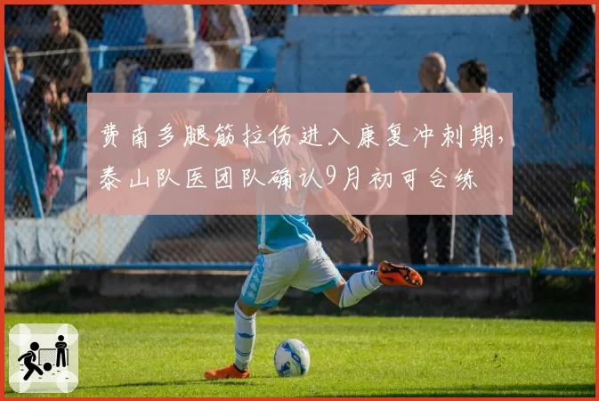 费南多腿筋拉伤进入康复冲刺期，泰山队医团队确认9月初可合练