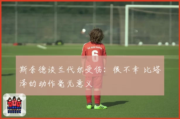 斯奈德谈兰代尔受伤:很不幸 比塔泽的动作毫无意义