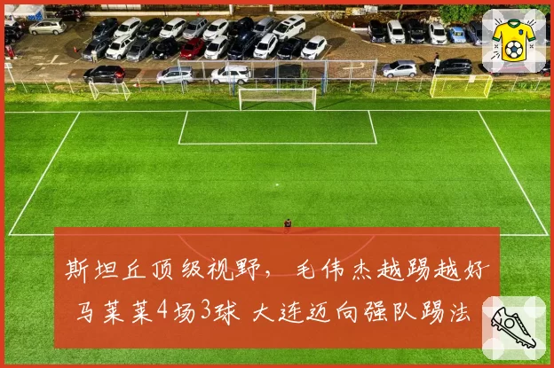 斯坦丘顶级视野,毛伟杰越踢越好 马莱莱4场3球 大连迈向强队踢法