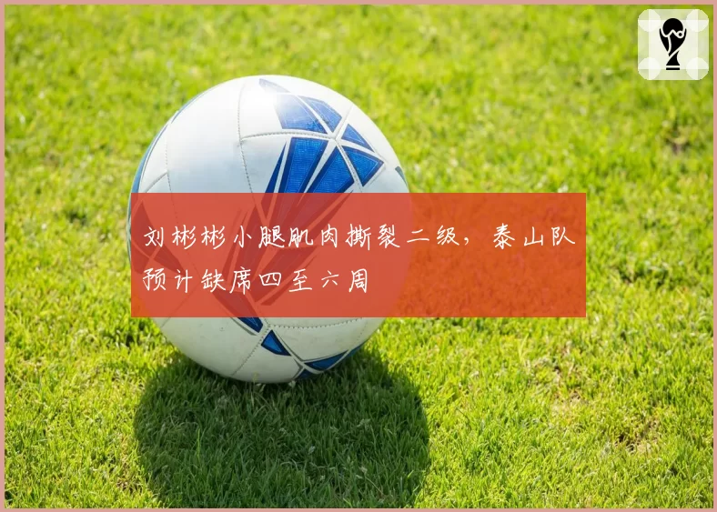 刘彬彬小腿肌肉撕裂二级，泰山队预计缺席四至六周
