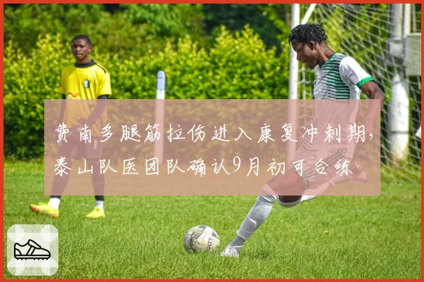 费南多腿筋拉伤进入康复冲刺期，泰山队医团队确认9月初可合练